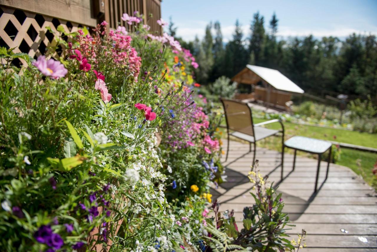 Bear Creek Winery And Lodging Bed & Breakfast Homer Exterior photo